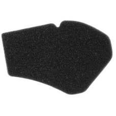 ПОВІТРЯНИЙ ФІЛЬТР MIW (MEIWA) SUZUKI UH 125/150 BURGMAN '02-06, (100)