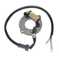 ELECTROSPORT UZWOJENIE ГЕНЕРАТОР (STATOR) HONDA CR 80 '83-'02, 85 '03-'04
