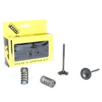 PROX СТАЛЬ ВПУСКНИЙ VALVE/SPRING KIT CRF250R '08-09