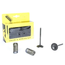 PROX СТАЛЬ ВПУСКНИЙ VALVE/SPRING KIT CRF250R '08-09