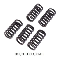 TRW LUCAS ZF ПРУЖИНИ SPRZEGLOWE HONDA CRF 250R '10-'13